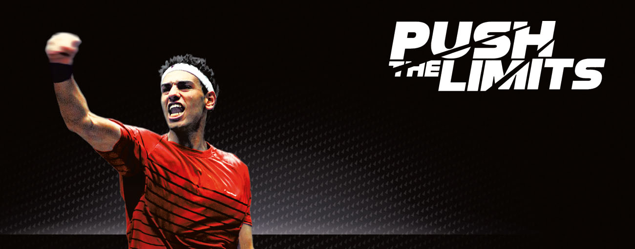 Tecnifibre Tecnifibre